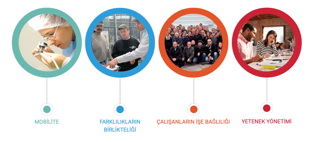 saint gobain